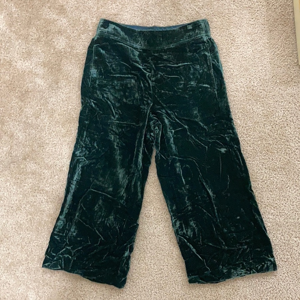 Velvet gauchos
